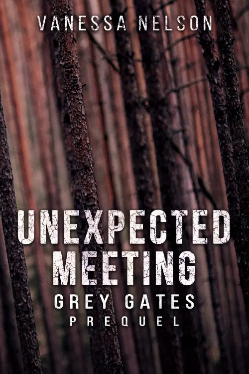Unexpected Meeting - Grey Gates Prequel by Vanessa Nelson